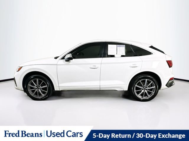 Used 2023 Audi SQ5 Premium Plus w/ Premium Plus Package AWD/4WD image 4