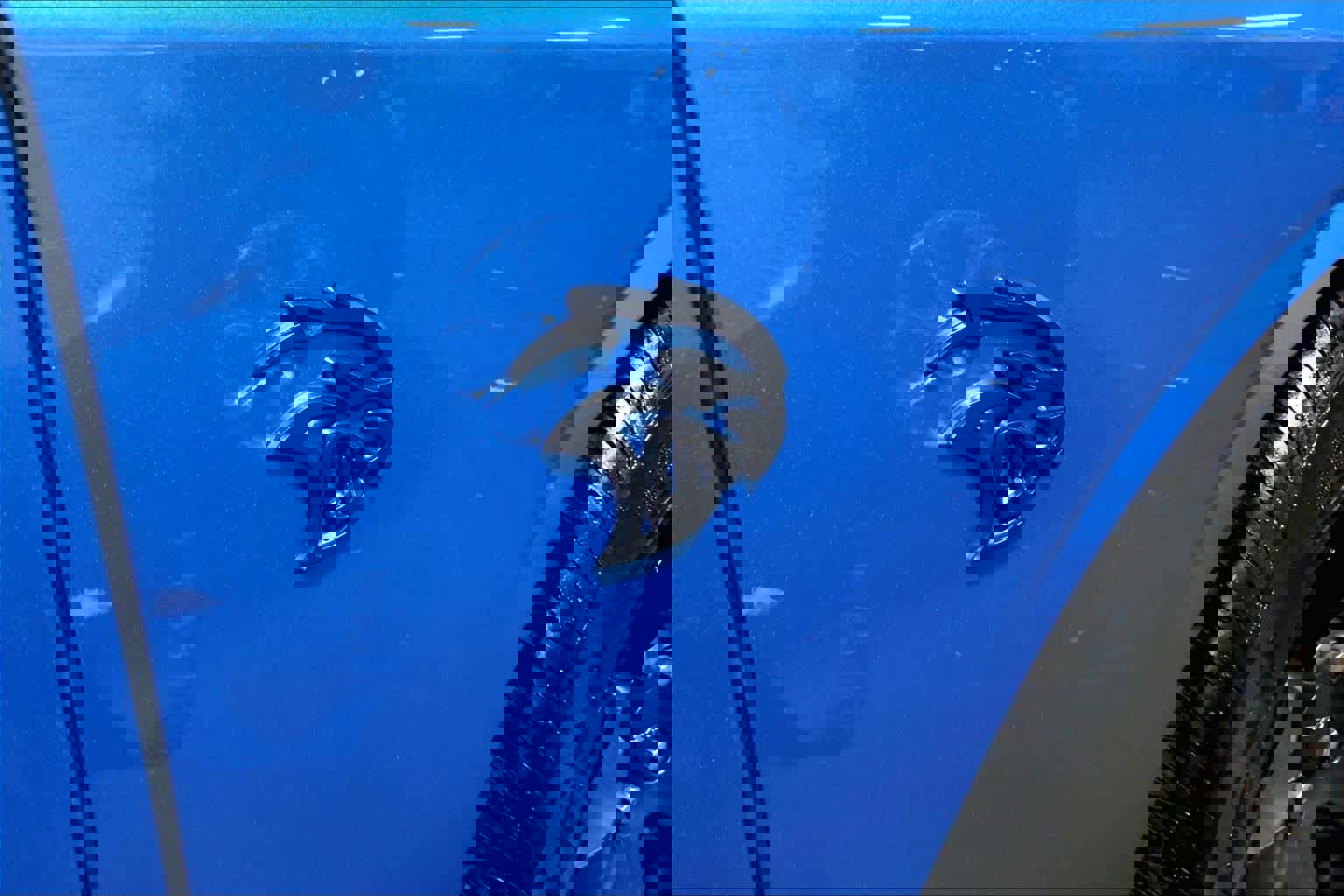 Used 2023 Dodge Challenger SRT Hellcat image 7