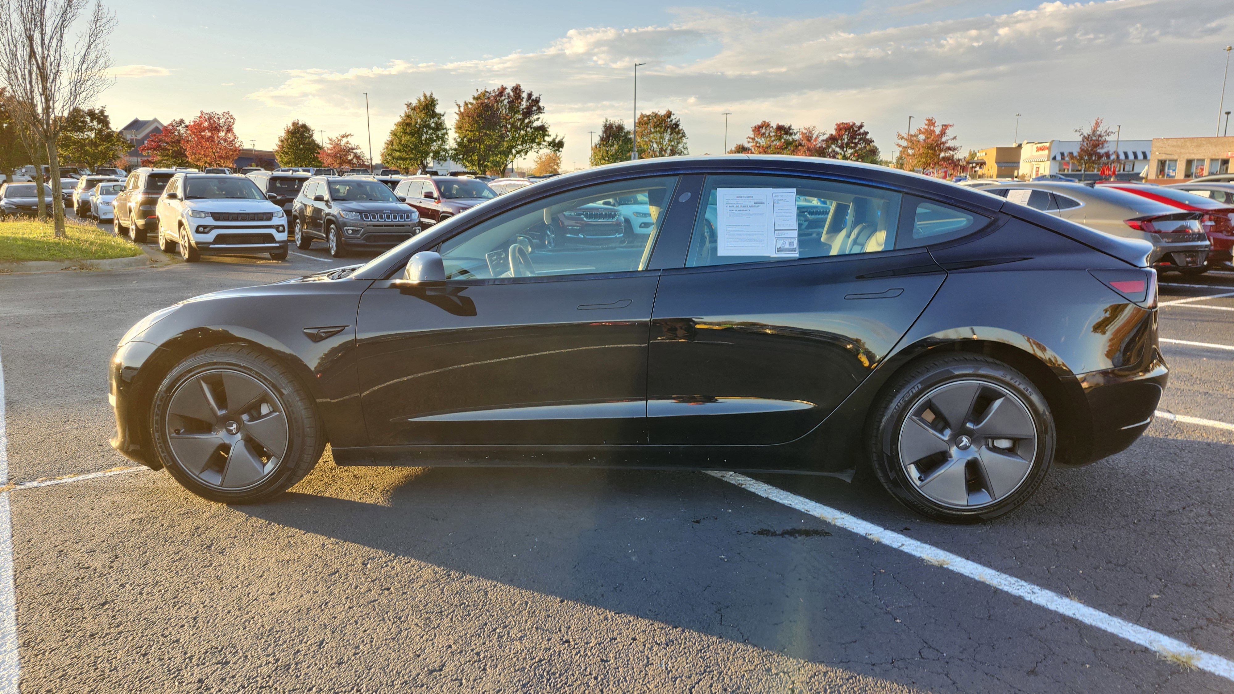 Used 2023 Tesla Model 3 Standard Range image 8
