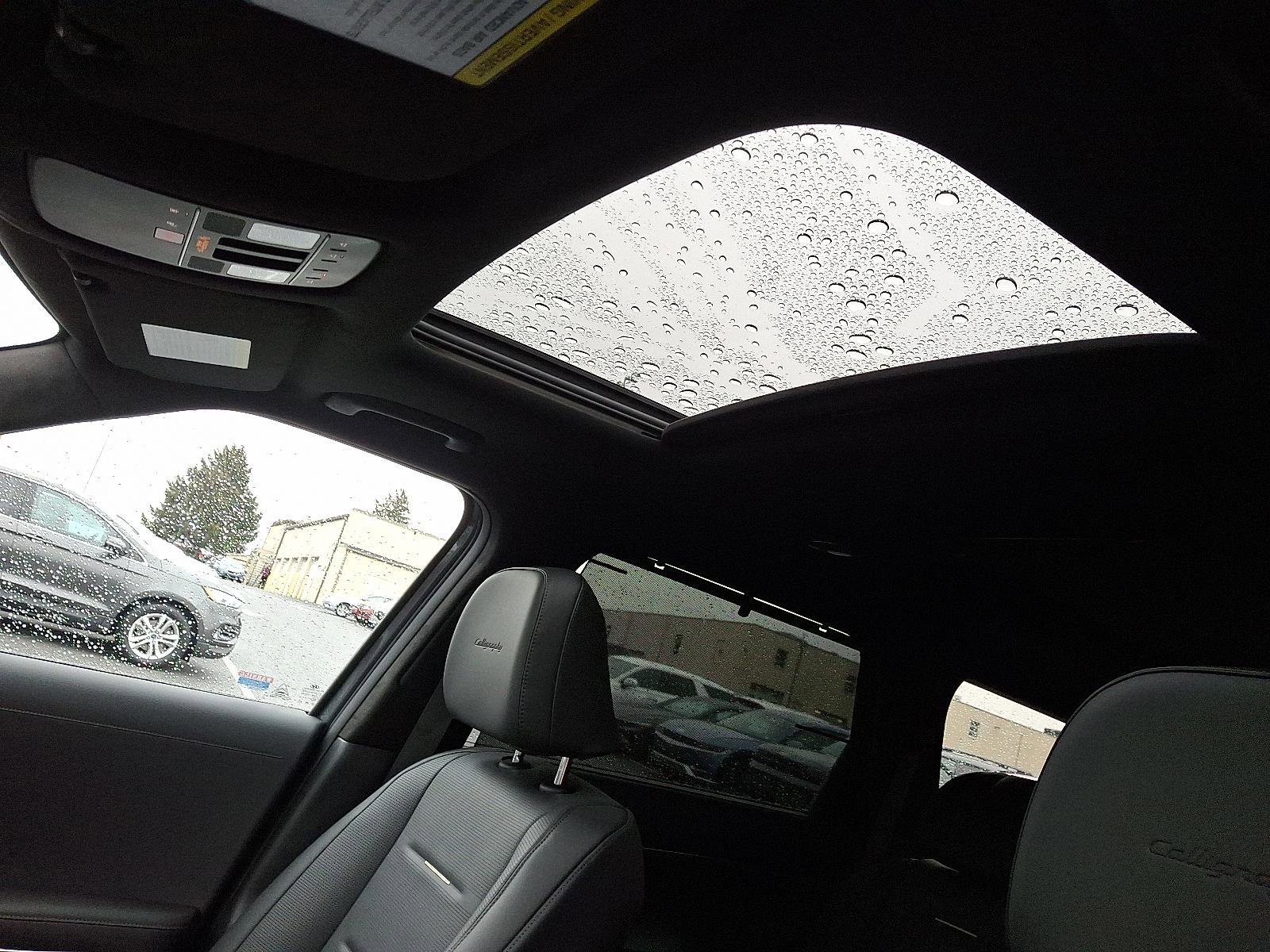 New 2026 Hyundai Palisade Calligraphy image 10