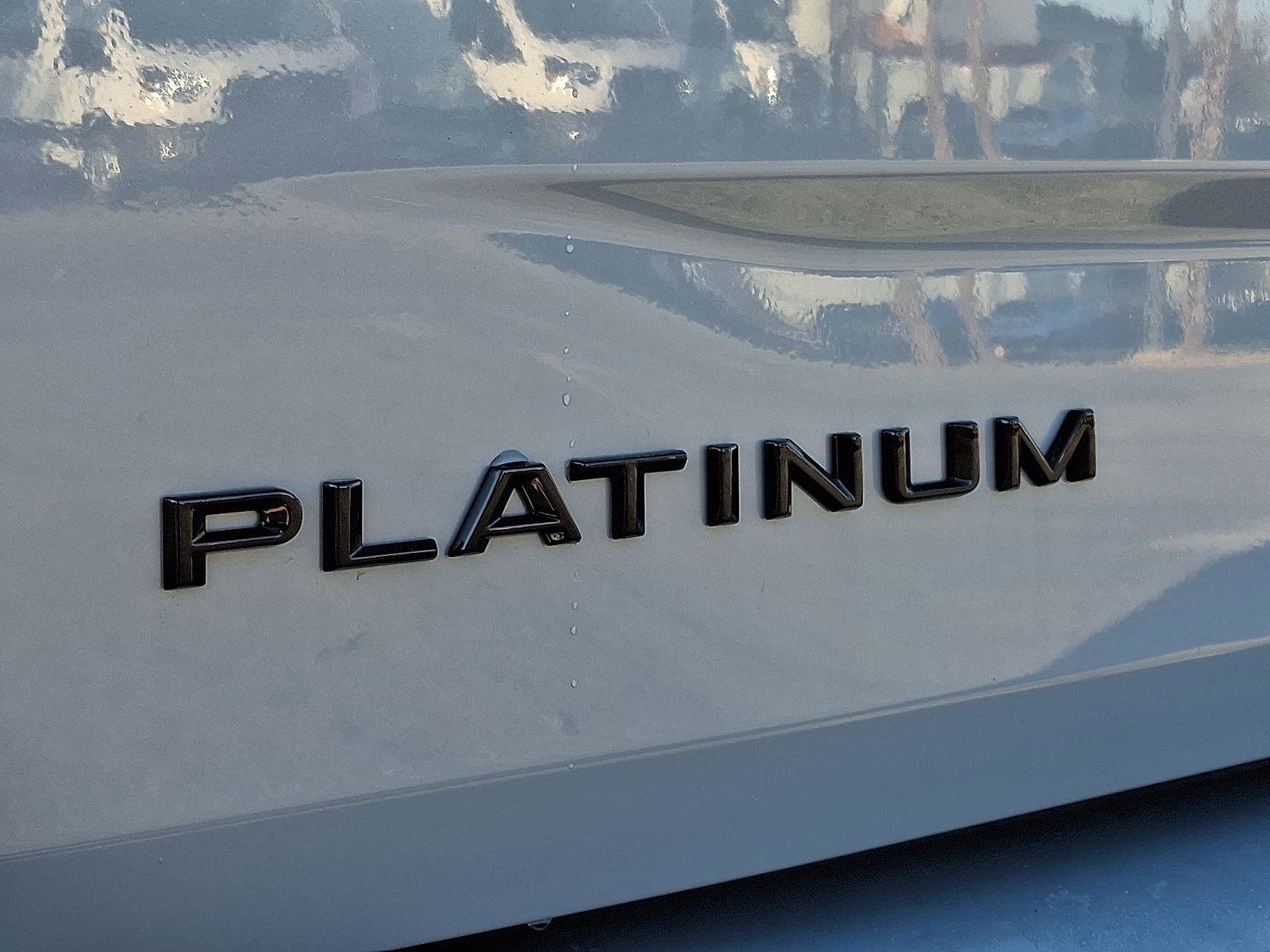 New 2025 Ford Expedition Platinum w/ Stealth Performance Package image 19