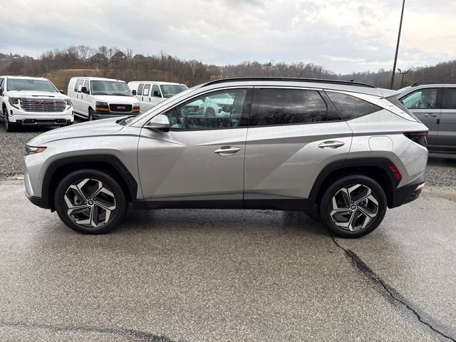 Used 2023 Hyundai Tucson Limited image 2