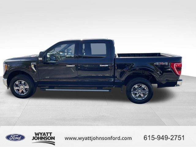 Certified 2023 Ford F150 XLT w/ Equipment Group 302A High image 6