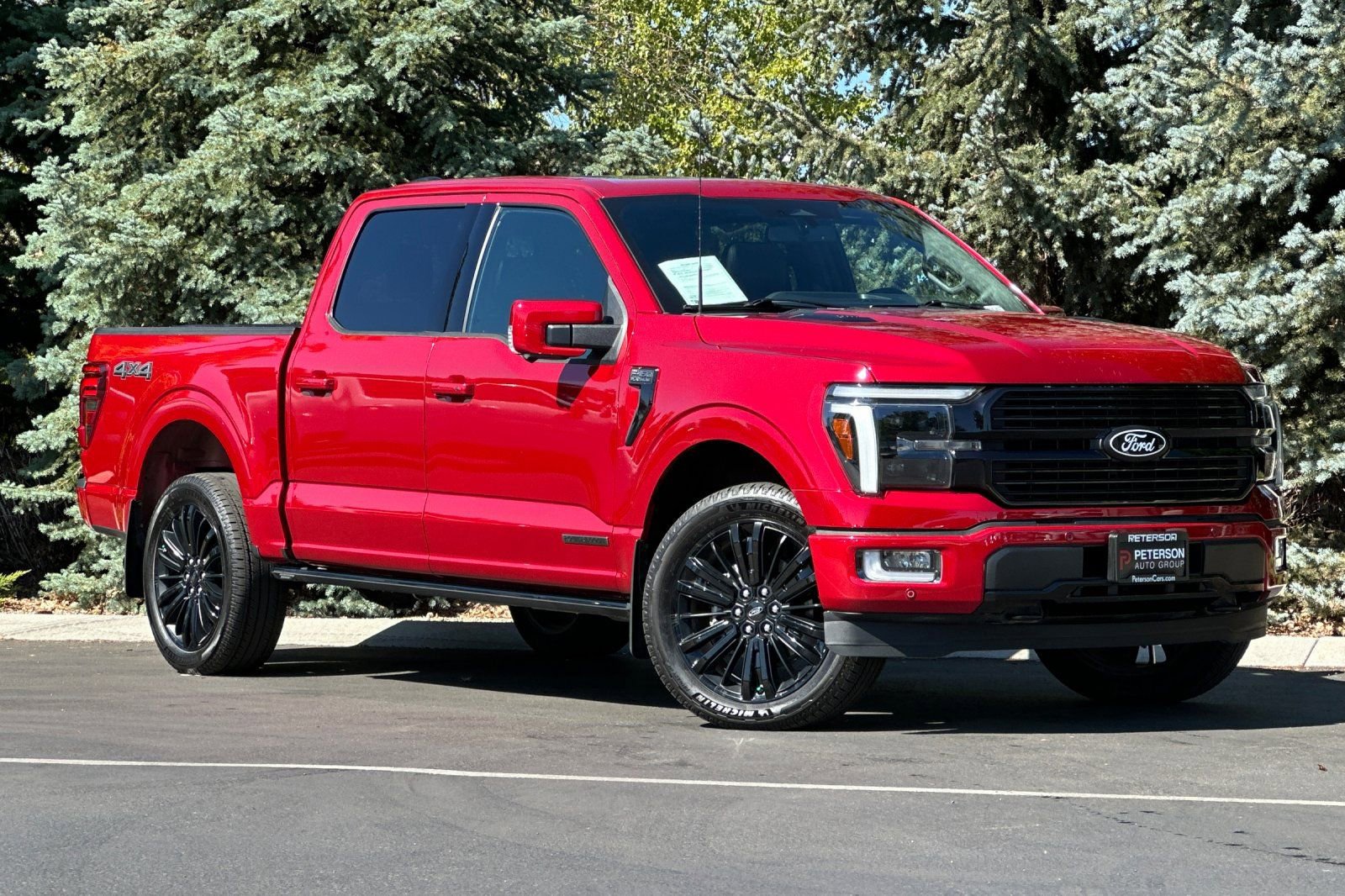 Used 2024 Ford F150 Platinum image 2