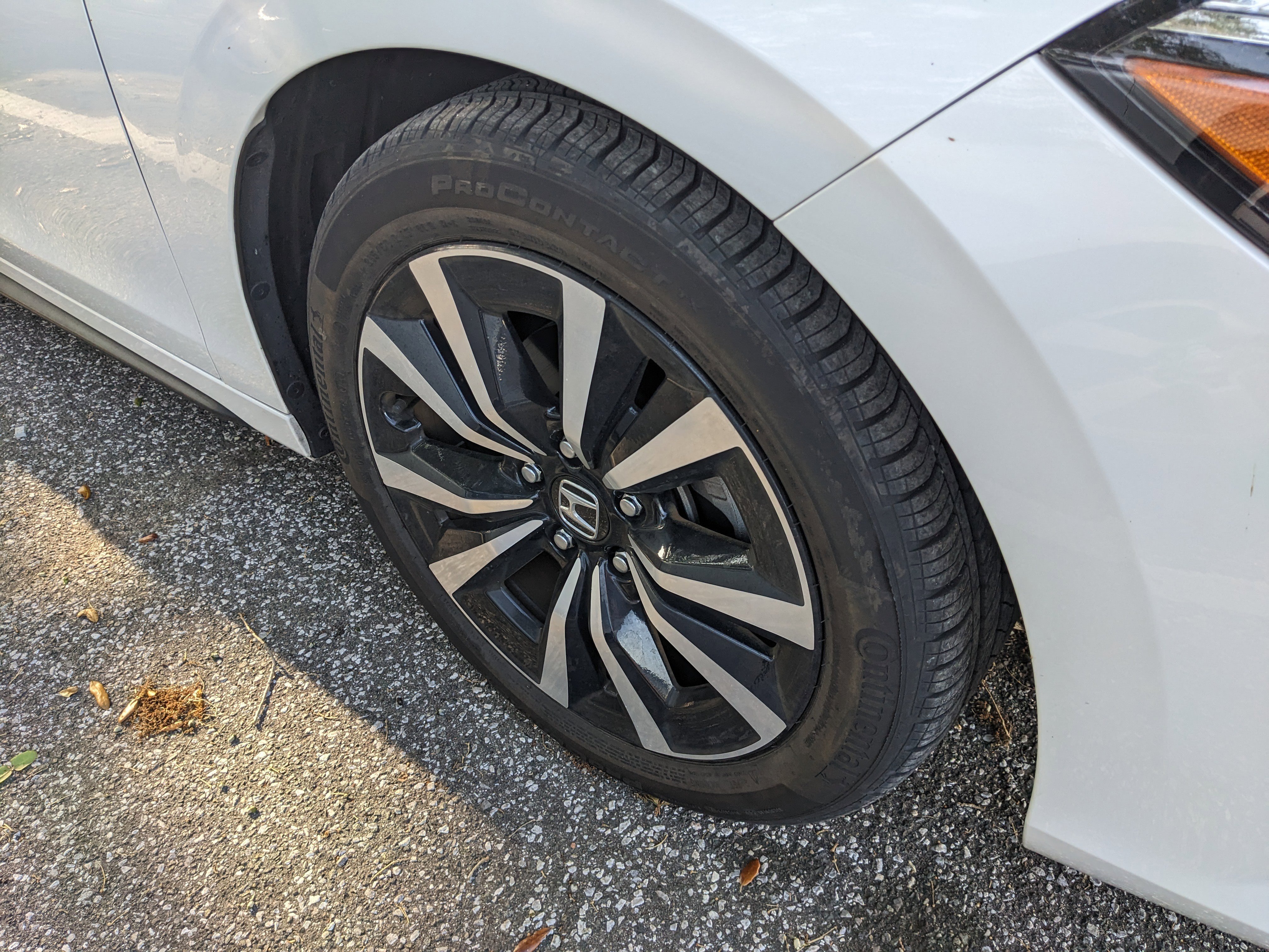 Used 2024 Honda Civic EX-L image 17