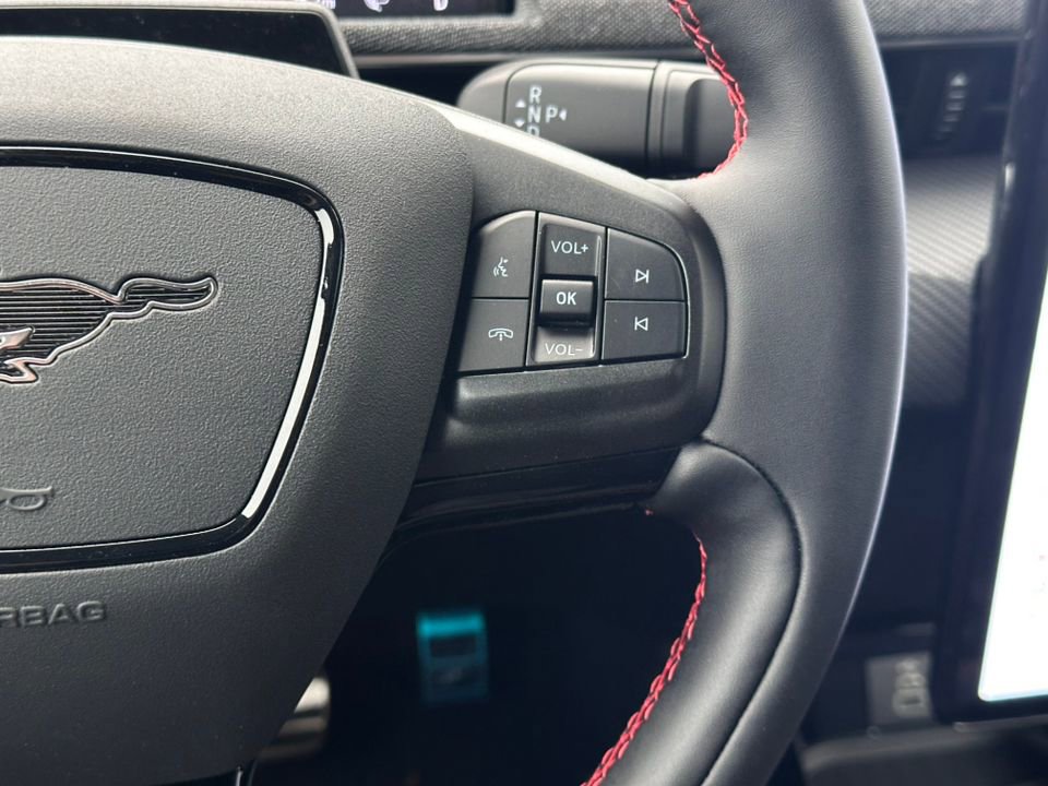 New 2025 Ford Mustang Mach-E Premium w/ Sport Appearance Package RWD image 25