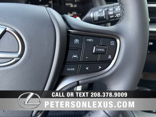 New 2025 Lexus UX 300h AWD image 25