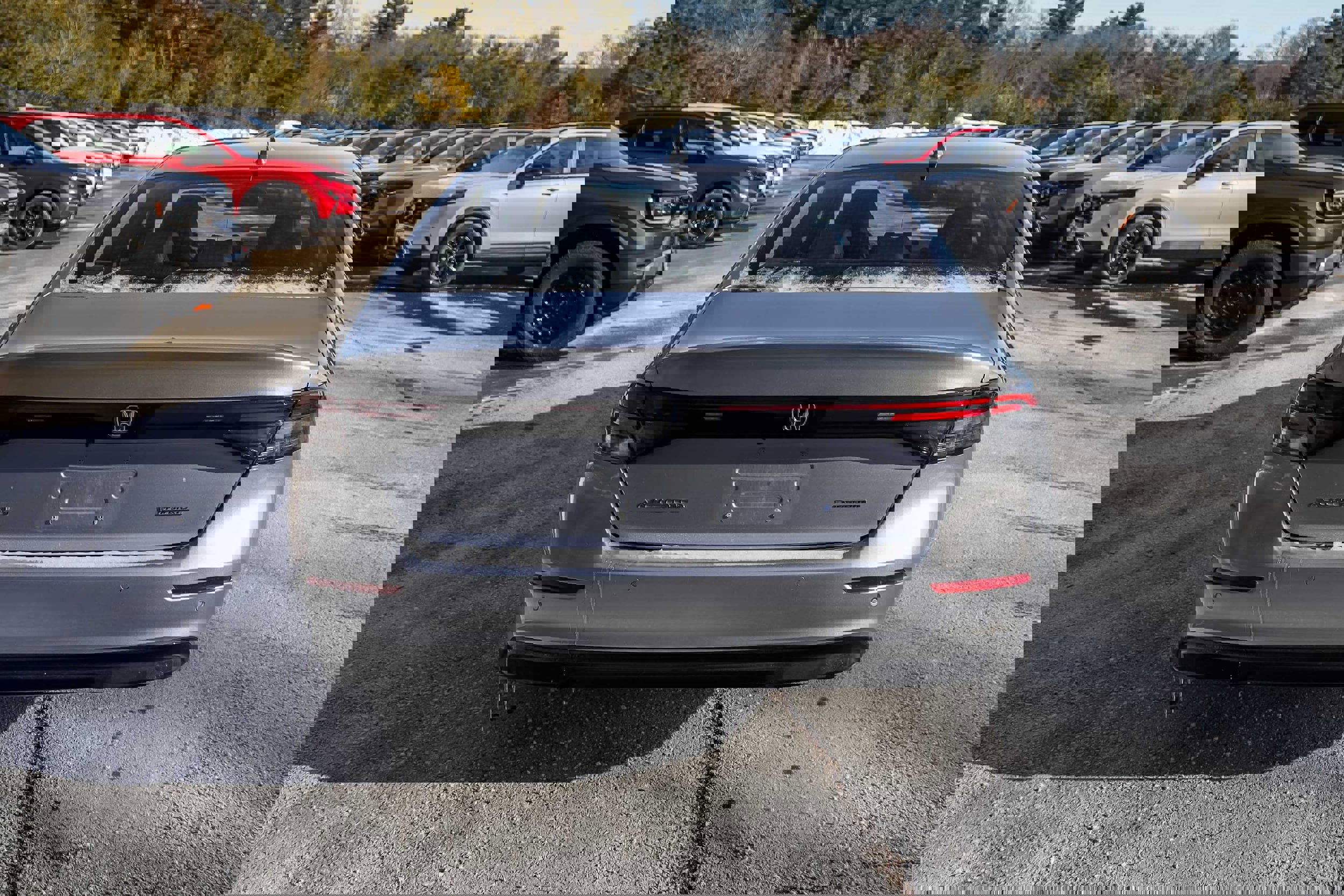 Used 2024 Honda Accord EX-L image 6