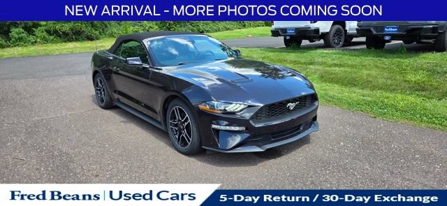 Used 2022 Ford Mustang Premium w/ Equipment Group 201A RWD image 1