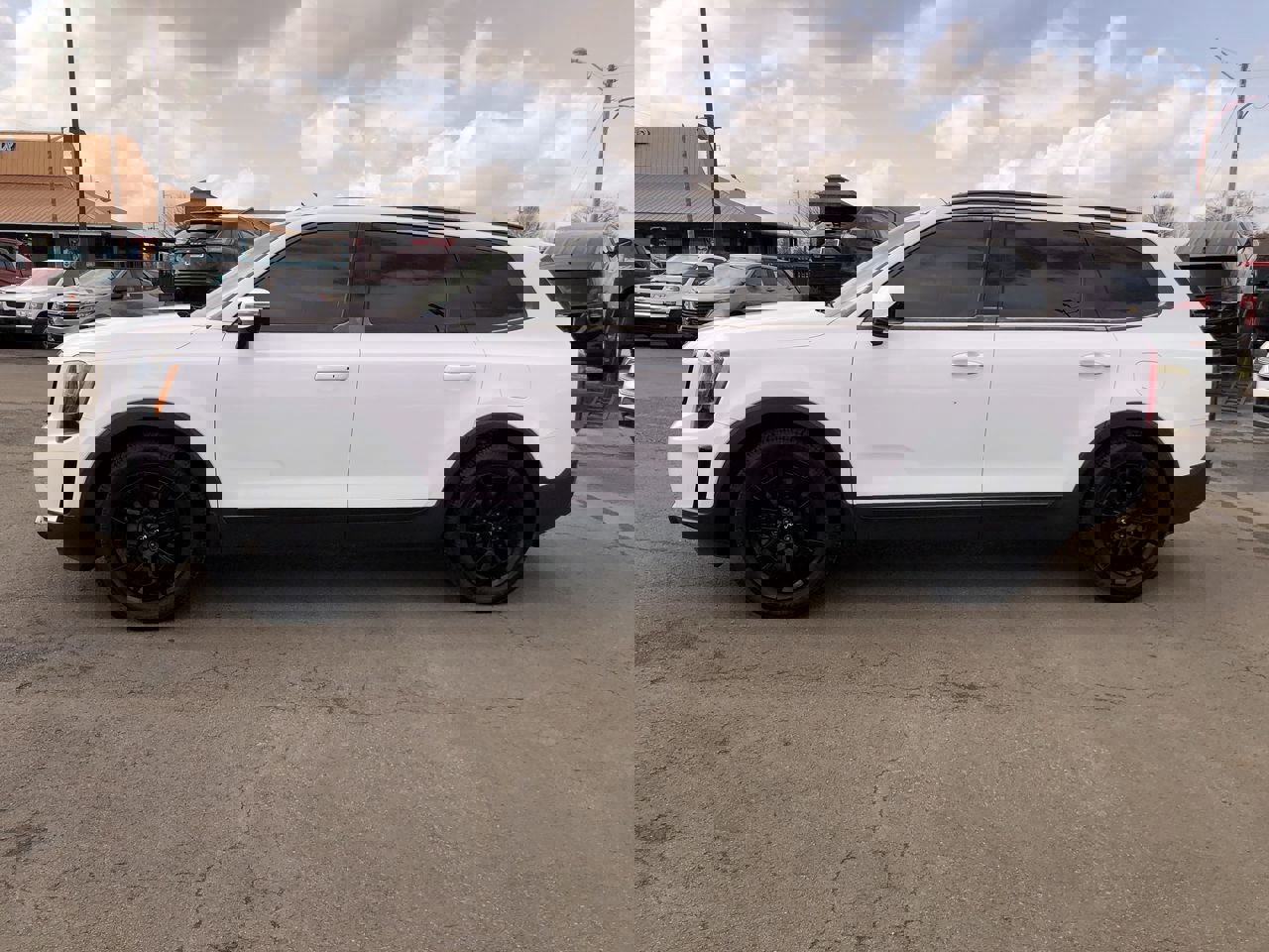 Used 2022 Kia Telluride SX w/ SX Prestige Package image 3