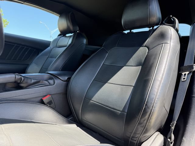 Used 2019 Ford Mustang Premium RWD image 12