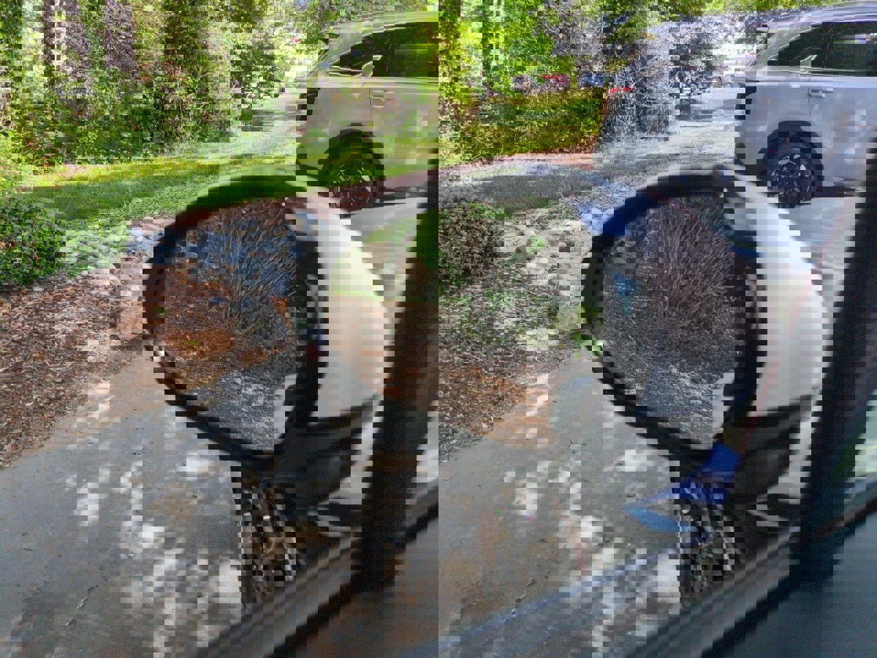 New 2026 Kia K5 LXS image 14