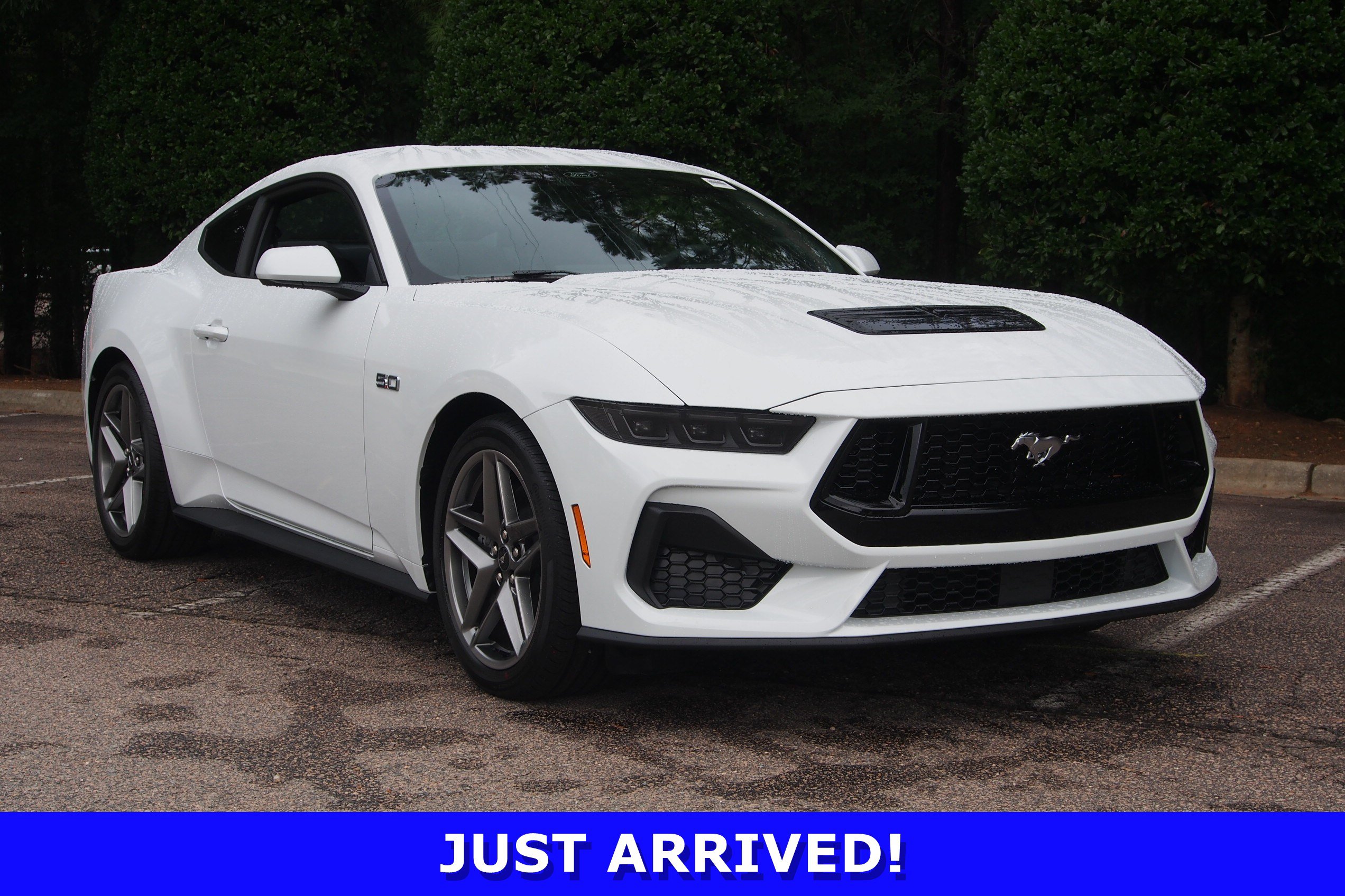 New 2026 Ford Mustang GT