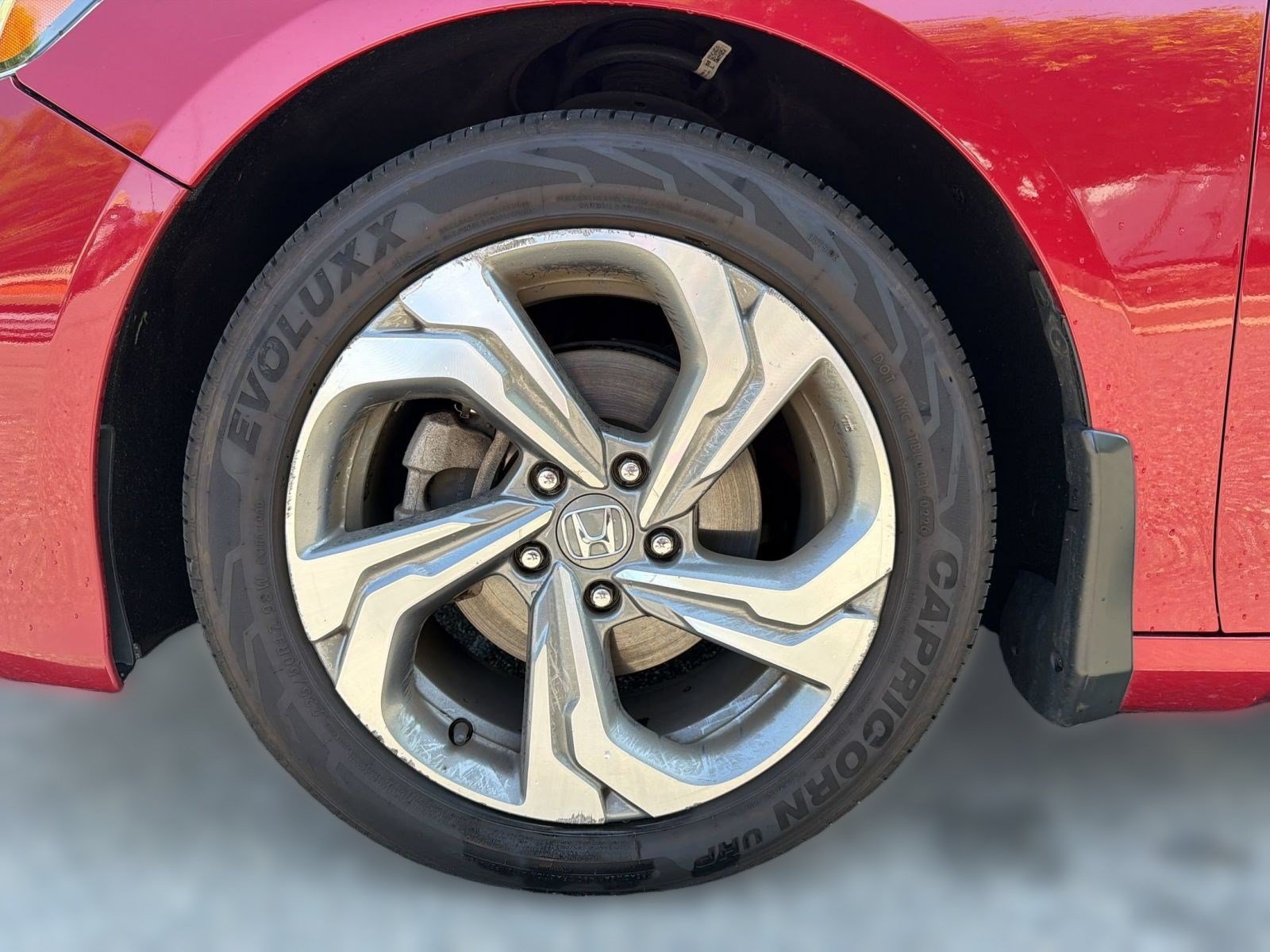 Used 2019 Honda Accord EX-L image 12
