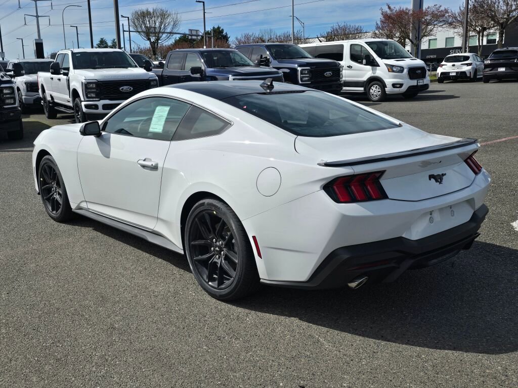 New 2026 Ford Mustang Premium w/ Mustang Nite Pony Package RWD image 3