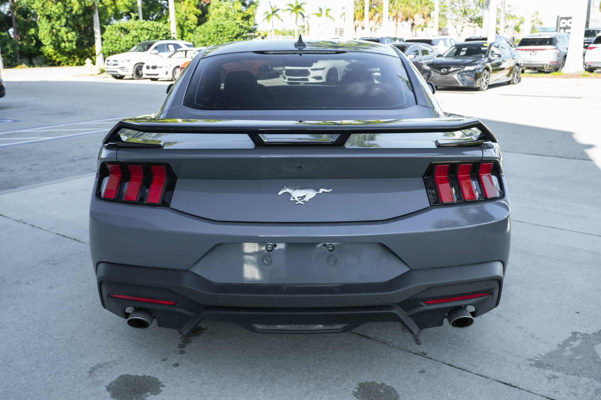 Used 2024 Ford Mustang EcoBoost image 7