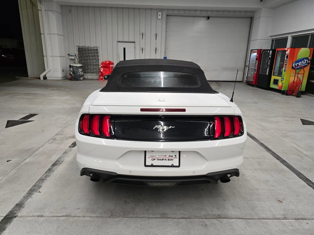 Used 2018 Ford Mustang Premium image 5