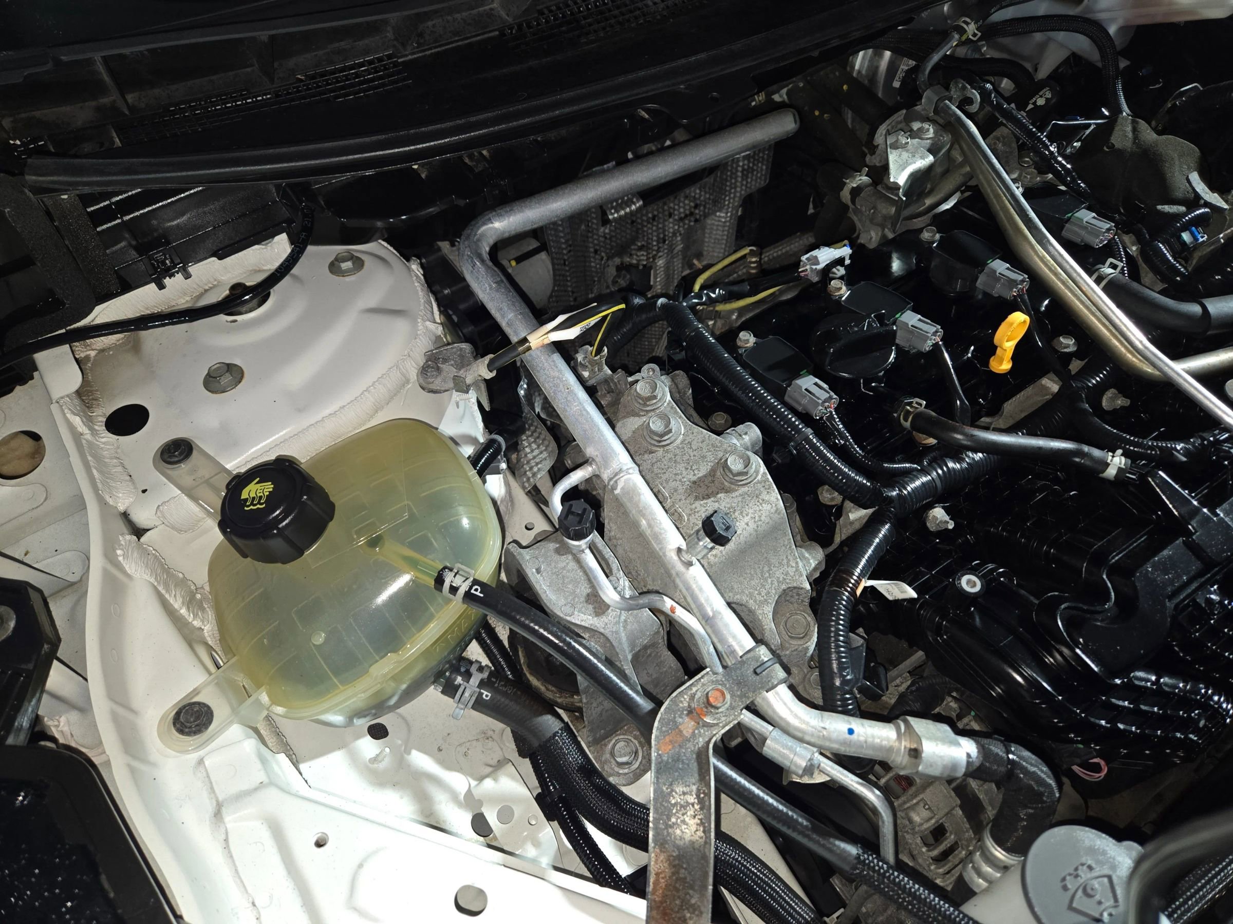 Used 2021 Nissan Rogue SV w/ Premium Package image 55