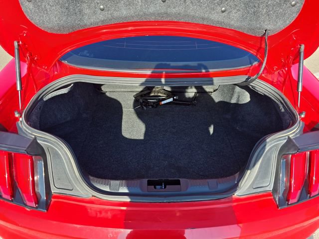 Used 2019 Ford Mustang GT w/ GT Performance Package image 12