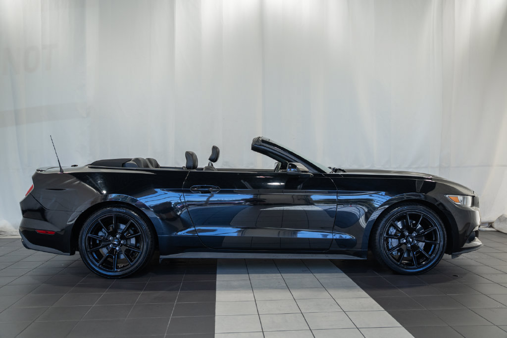 Used 2017 Ford Mustang GT Premium w/ Equipment Group 401A RWD image 3