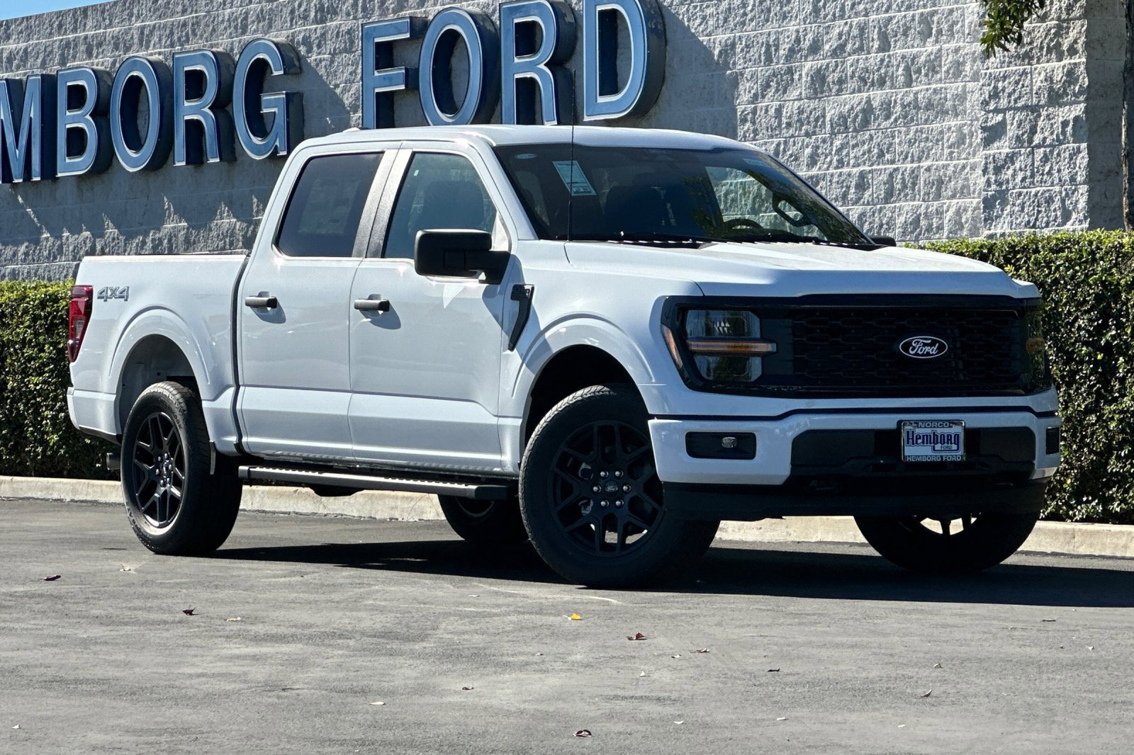 New 2025 Ford F150 STX w/ STX Black Appearance Package image 2