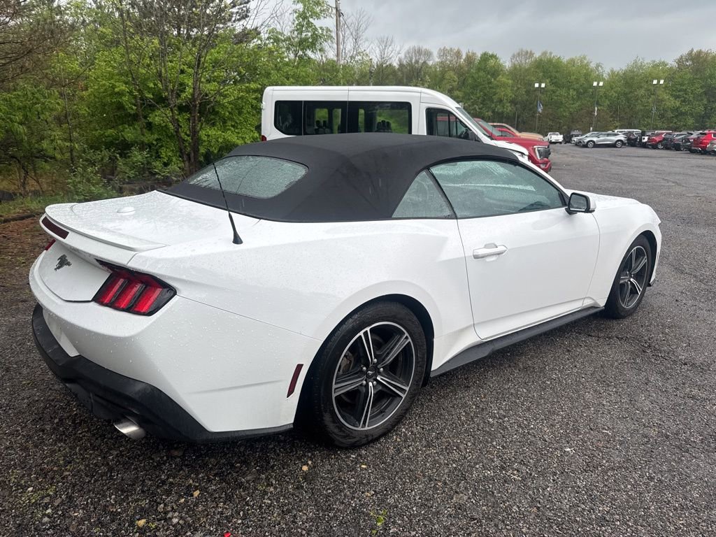 Used 2024 Ford Mustang Premium RWD image 9