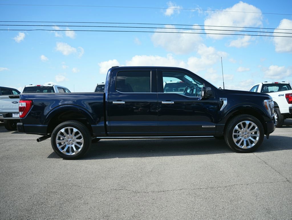 Used 2023 Ford F150 Limited image 5