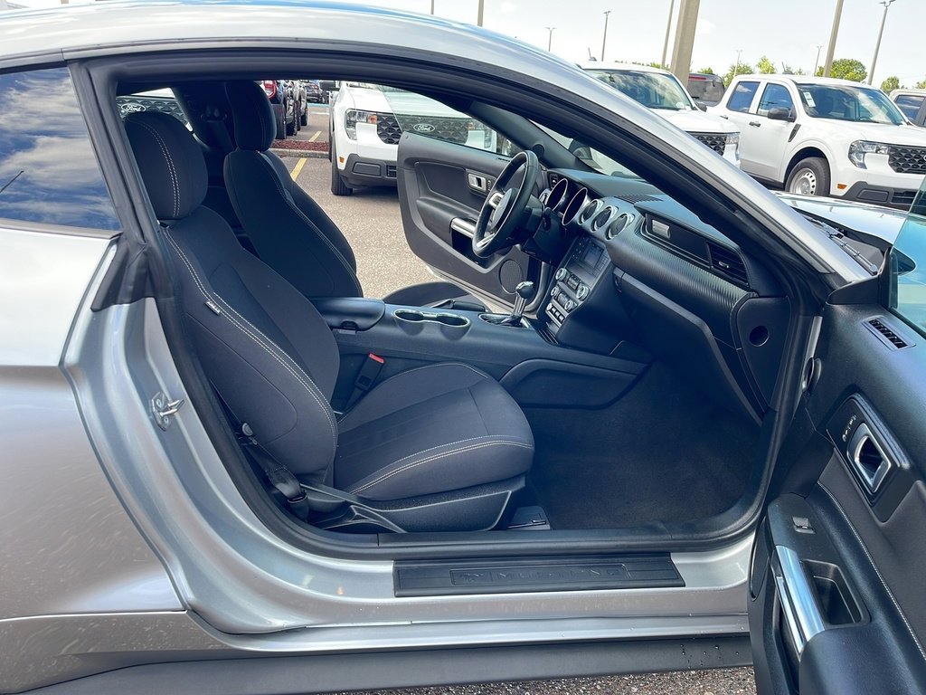 Certified 2022 Ford Mustang EcoBoost w/ Black Accent Package image 12