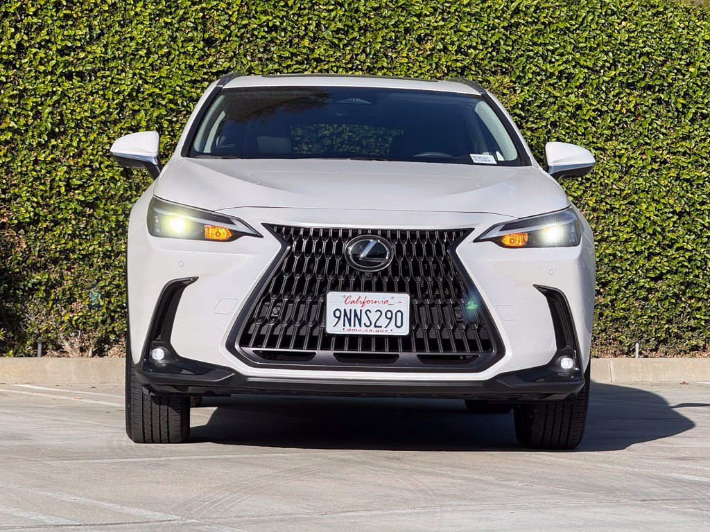Certified 2025 Lexus NX 350h AWD w/ Cold Area Package image 5