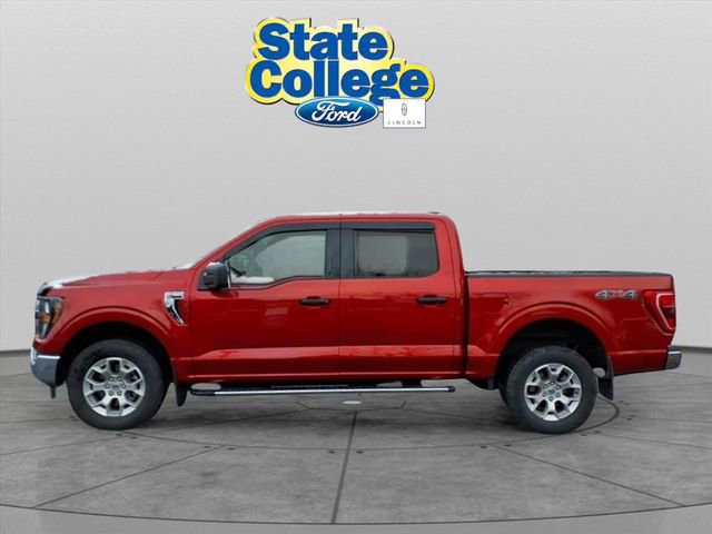 Used 2023 Ford F150 XLT w/ Equipment Group 301A Mid AWD/4WD image 1