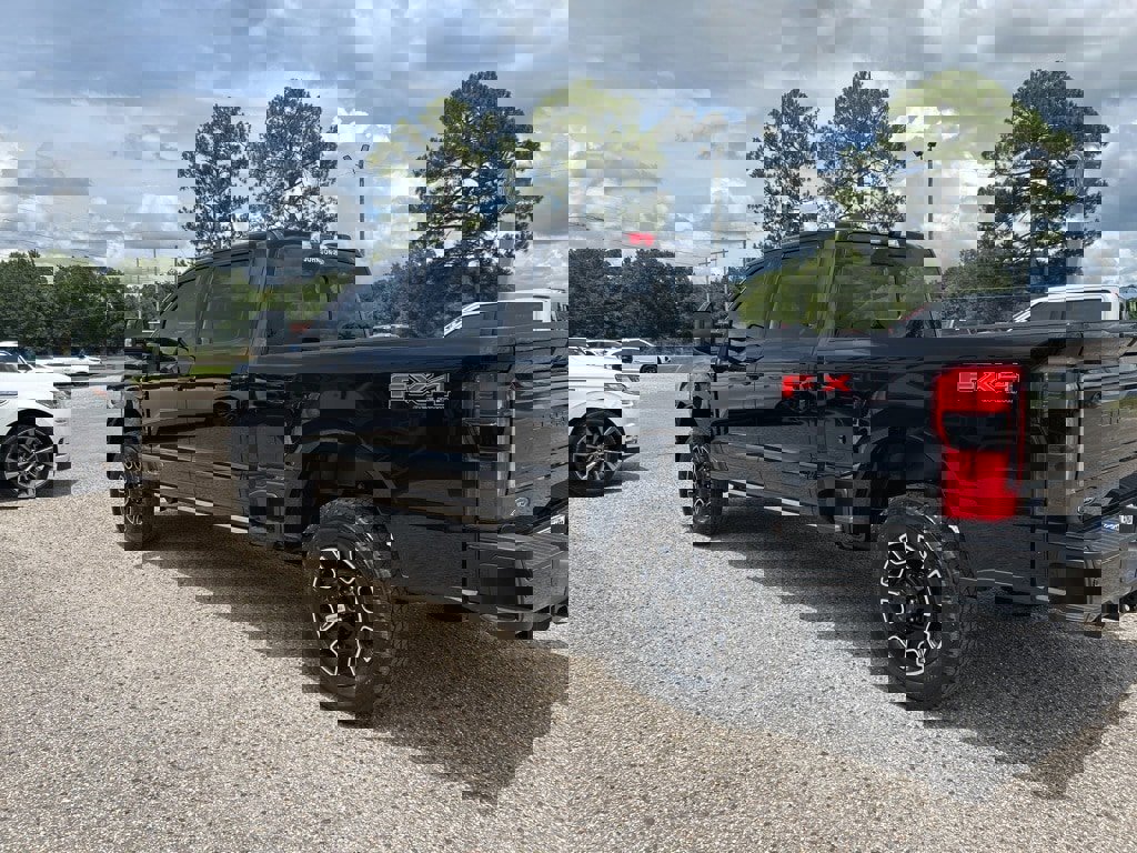 New 2025 Ford F250 Platinum image 5