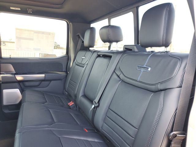 New 2026 Ford F250 Platinum w/ Tremor Off-Road Package image 9