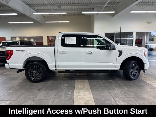 Used 2023 Ford F150 XLT w/ Equipment Group 302A High AWD/4WD image 15