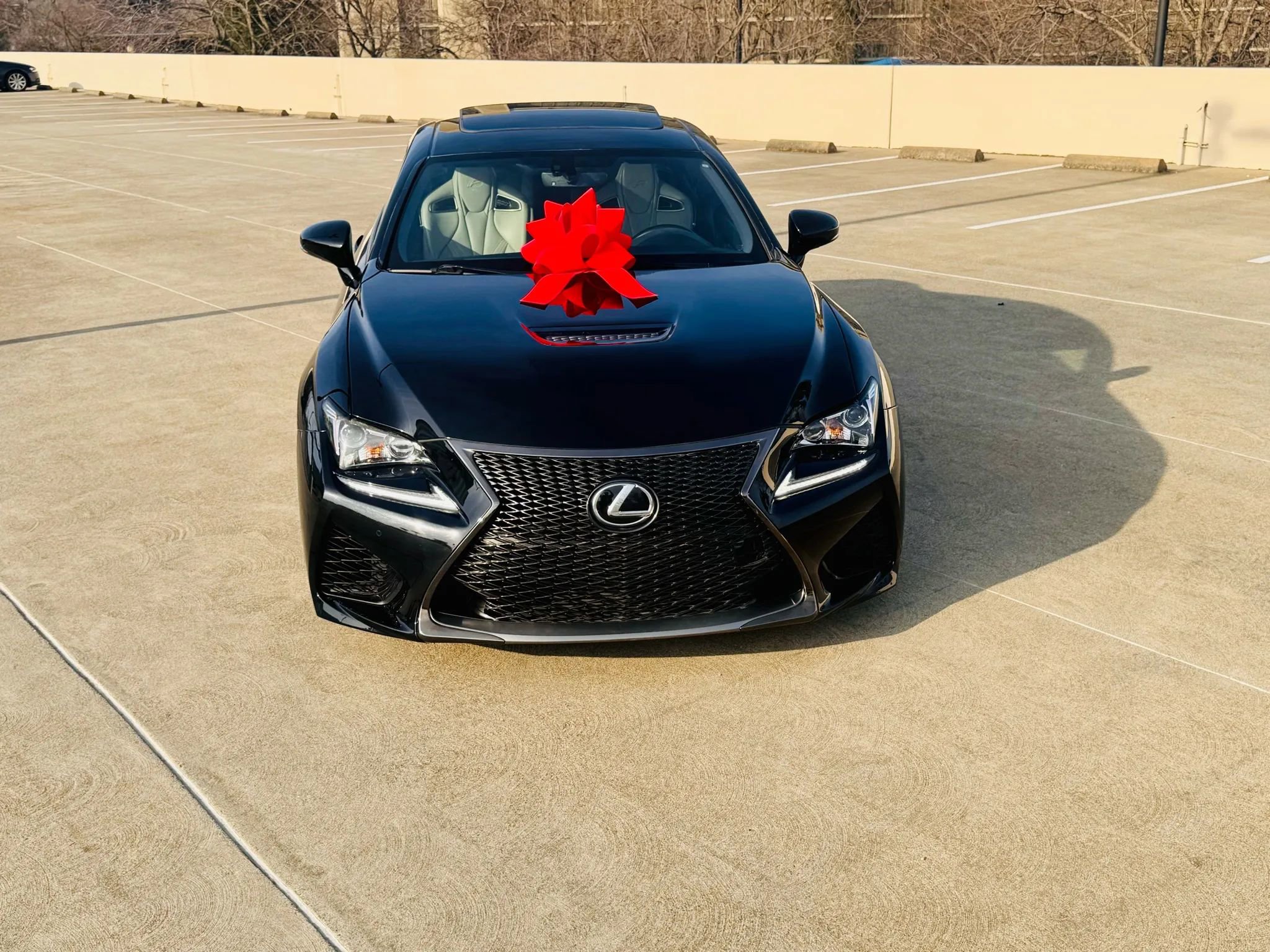 Used 2017 Lexus RC F RC F Coupe 2D image 14