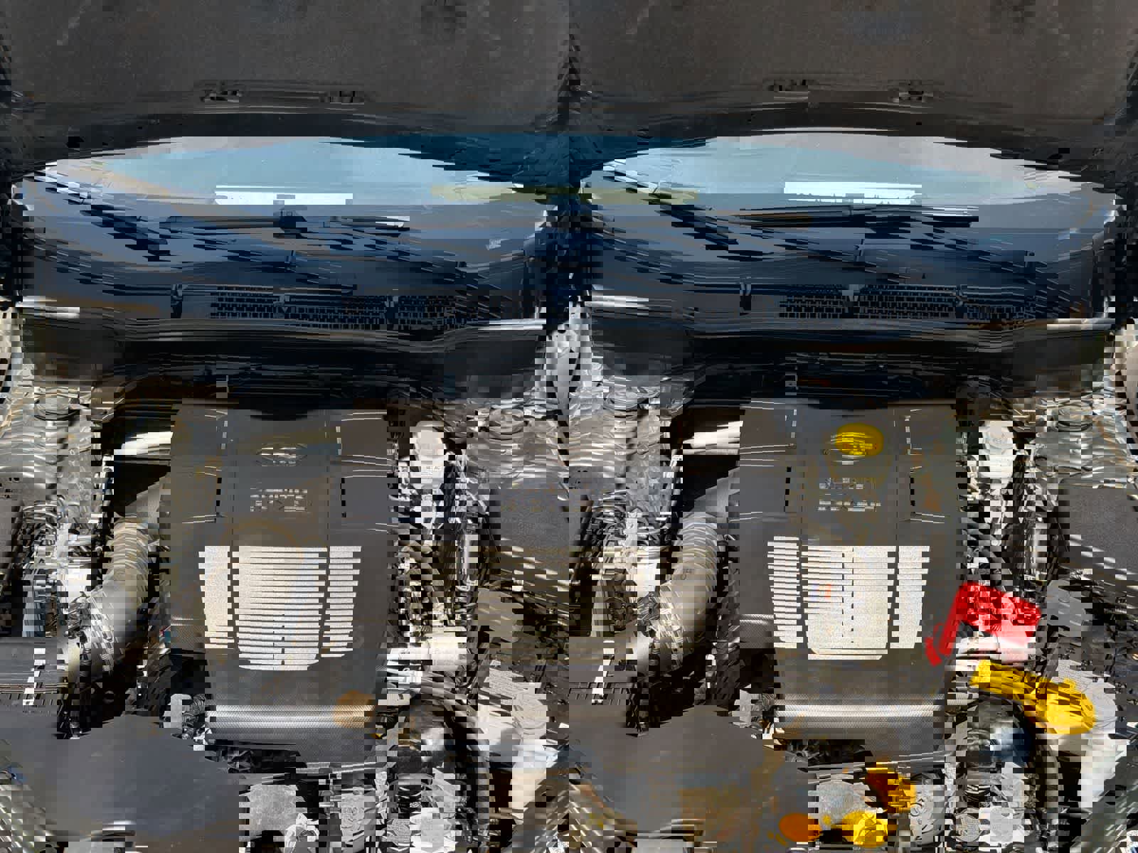 Certified 2023 Subaru Forester Limited image 15