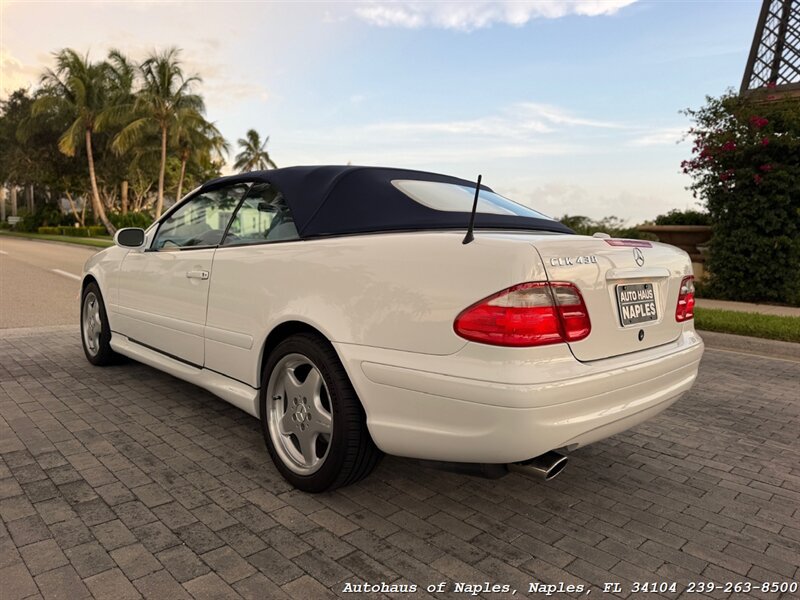 Used 2001 Mercedes-Benz CLK 430 Cabriolet image 8