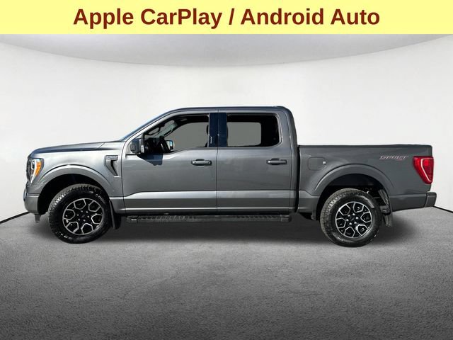 Used 2023 Ford F150 XLT w/ Equipment Group 302A High AWD/4WD image 6
