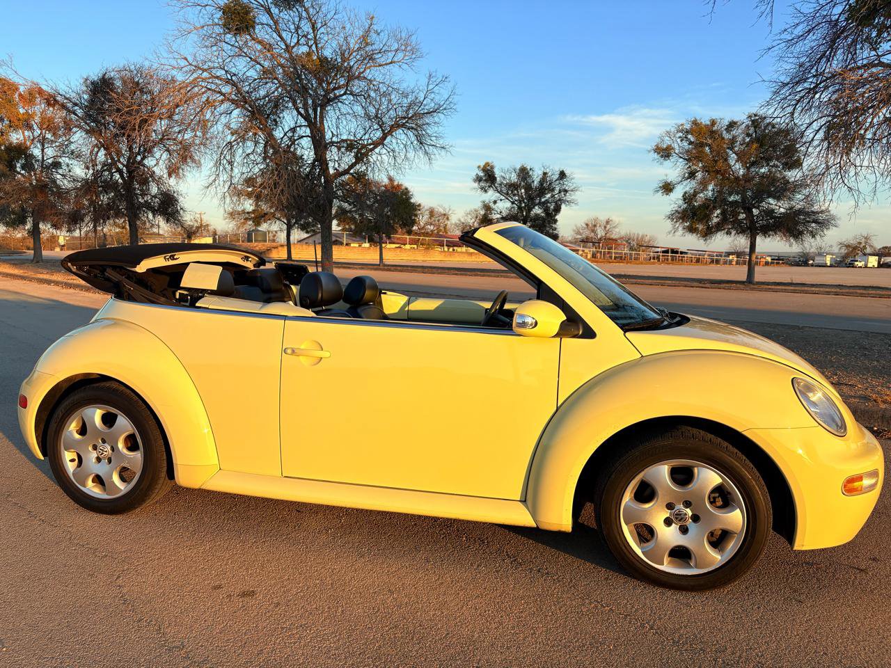 Used 2003 Volkswagen Beetle GLS image 4