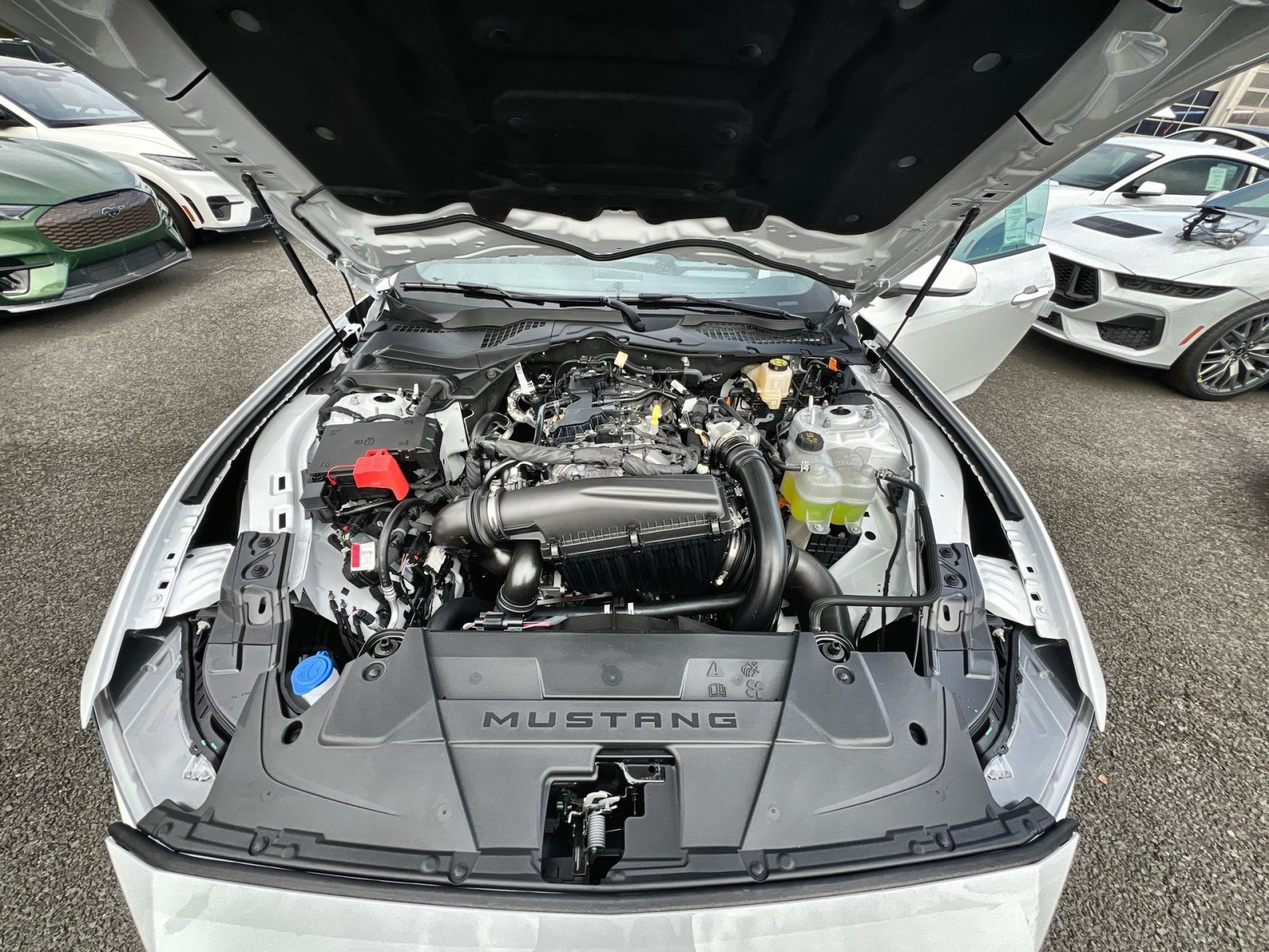 New 2026 Ford Mustang Coupe RWD image 66