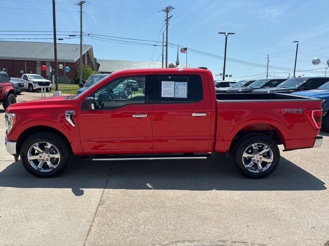 Used 2023 Ford F150 XLT w/ Equipment Group 302A High AWD/4WD image 4