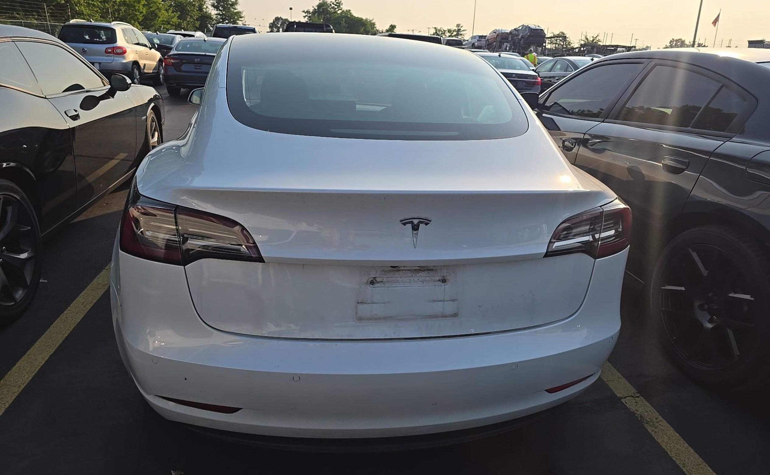 Used 2020 Tesla Model 3 Standard Range Plus RWD image 4