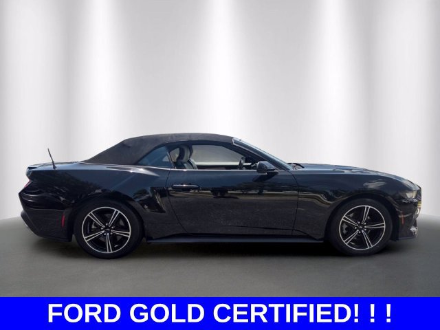 Used 2024 Ford Mustang Premium RWD image 6