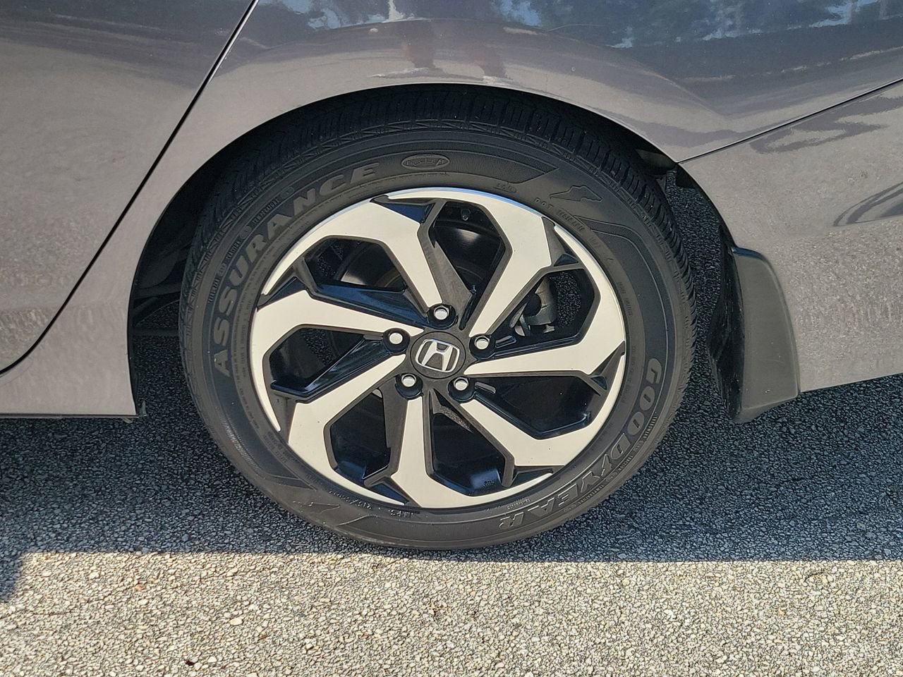 Used 2016 Honda Accord EX-L image 5