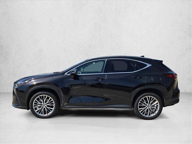 Used 2025 Lexus NX 350h AWD w/ Cold Area Package image 9