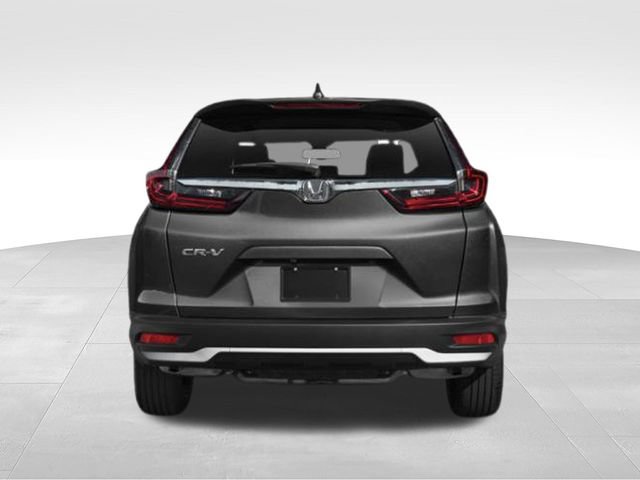 Used 2020 Honda CR-V EX-L image 5