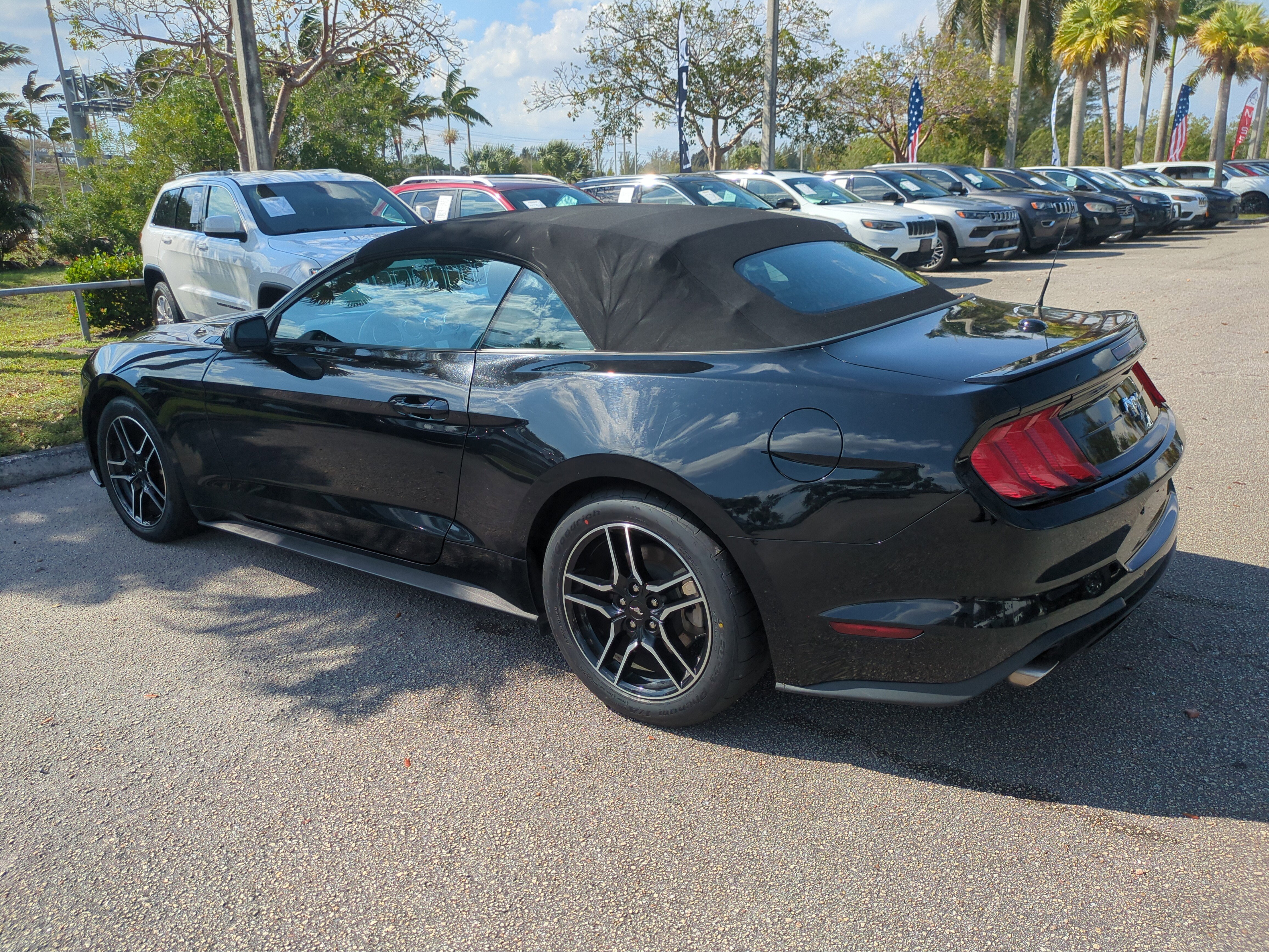 Used 2023 Ford Mustang Premium image 7