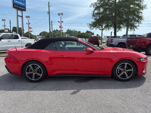 Used 2024 Ford Mustang Premium RWD image 4