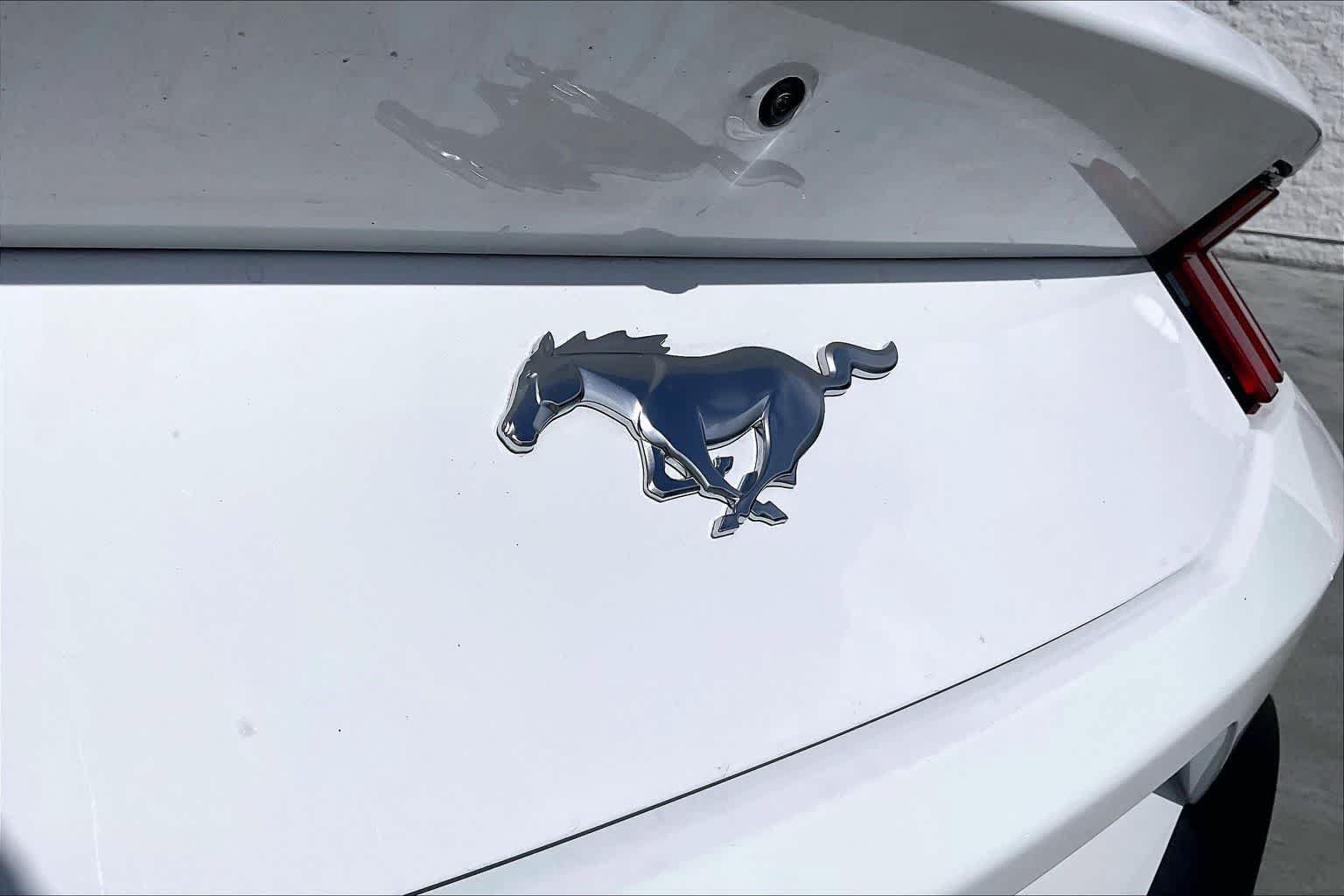 Used 2026 Ford Mustang Coupe RWD image 7