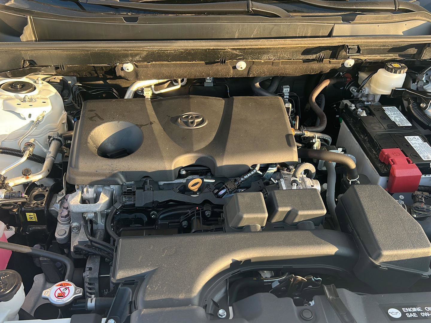 Certified 2024 Toyota RAV4 LE image 31