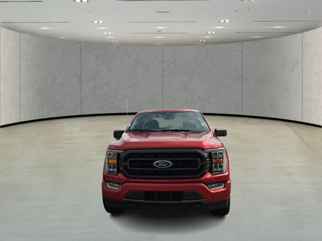 Used 2021 Ford F150 XLT w/ Equipment Group 302A High image 2